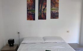 Rooms For Rent 67